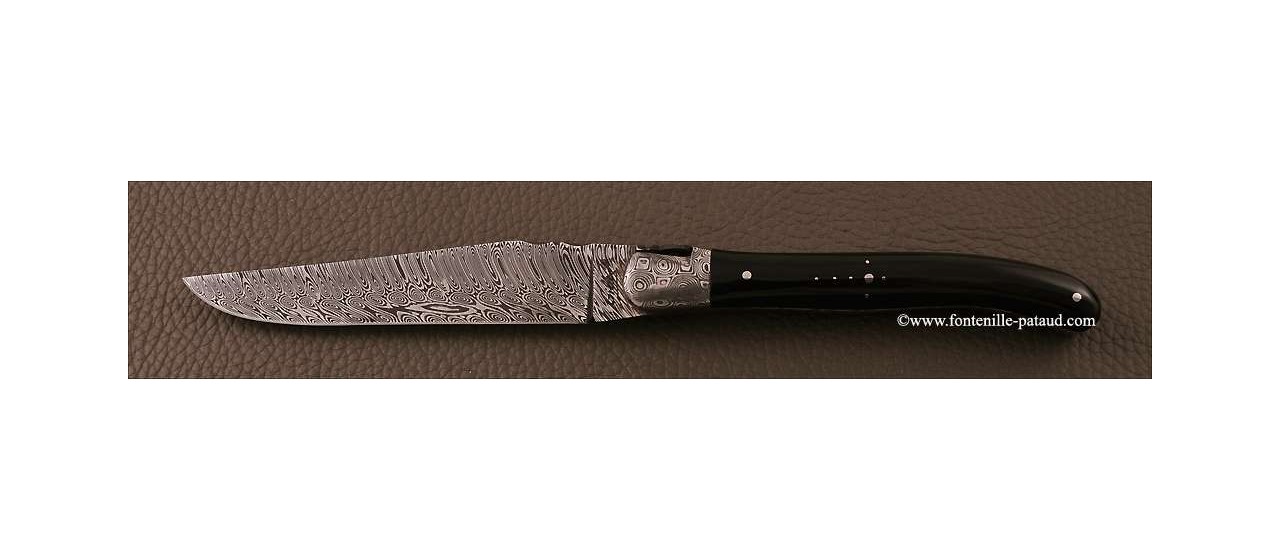 https://www.fontenille-pataud.com/10168-large_default/set-of-2-laguiole-steak-knives-damascus-black-horn-tip.jpg
