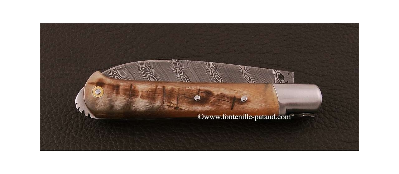 Le 5 Coqs knife damascus ram horn hand made in France