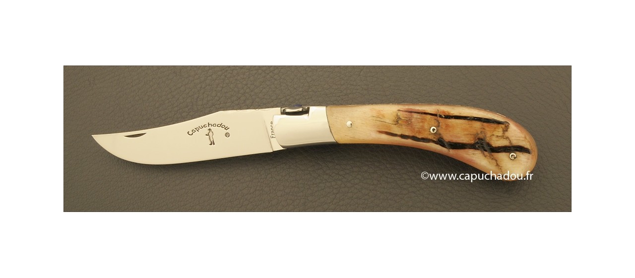 "Le Capuchadou-Guilloché" 10 cm hand made knife, Ram horn