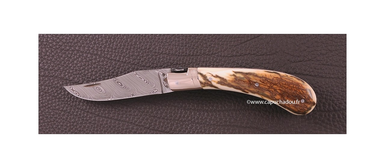 "Le Capuchadou-Guilloché" 10 cm hand made knife, mammoth & Damascus, Delicate filework