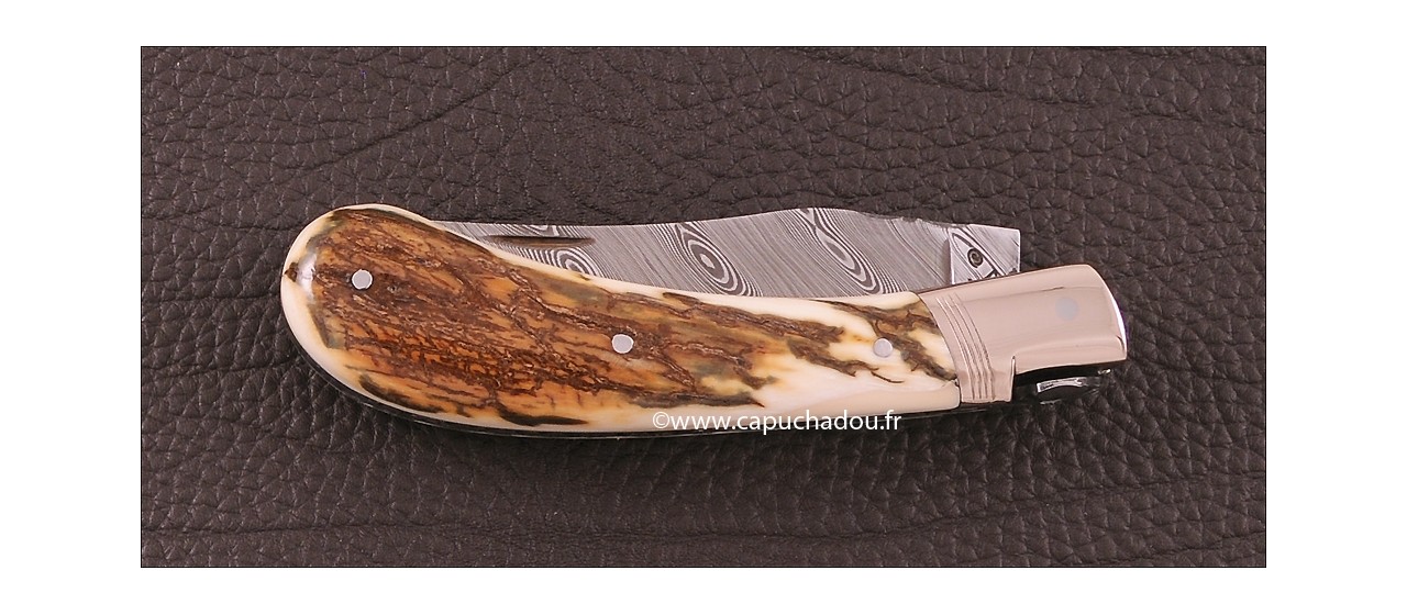 "Le Capuchadou-Guilloché" 10 cm hand made knife, mammoth & Damascus, Delicate filework