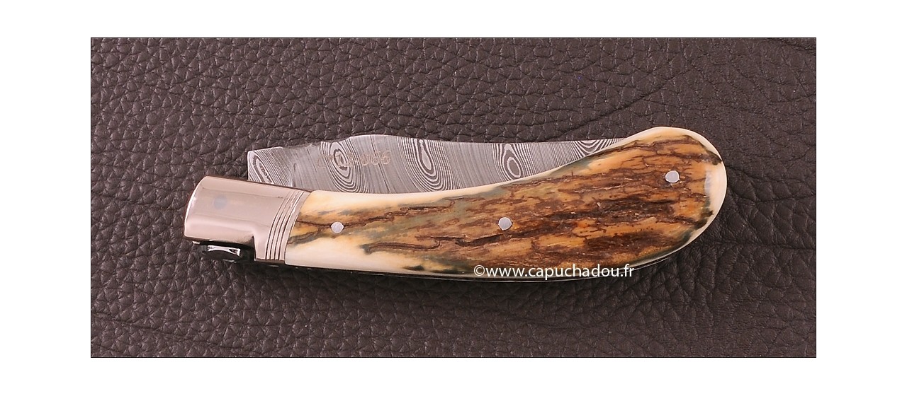 "Le Capuchadou-Guilloché" 10 cm hand made knife, mammoth & Damascus, Delicate filework
