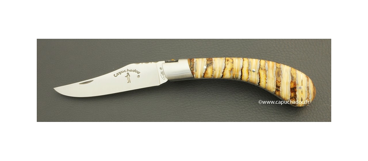 "Le Capuchadou-Guilloché" 12 cm hand made knife, molar tooth of mammoth