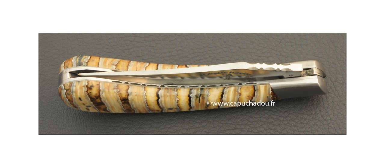 "Le Capuchadou-Guilloché" 12 cm hand made knife, molar tooth of mammoth