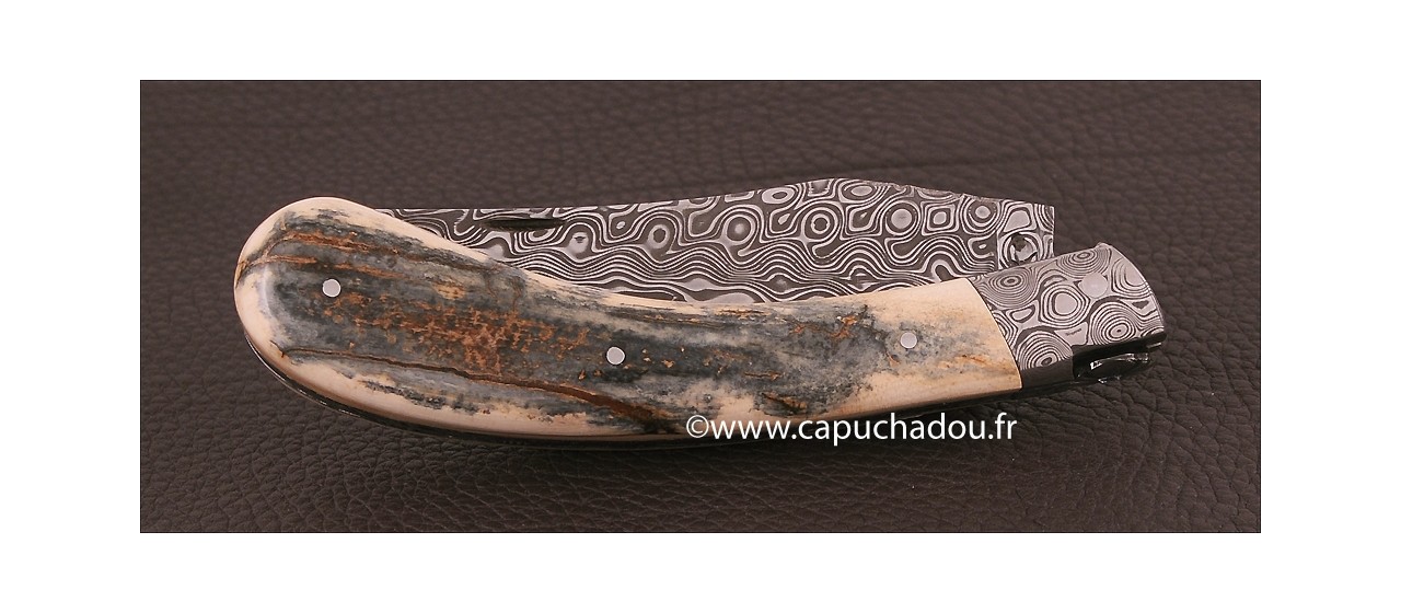 "Le Capuchadou-Guilloché" 12 cm hand made knife, blue mammoth & Damascus, delicate filework
