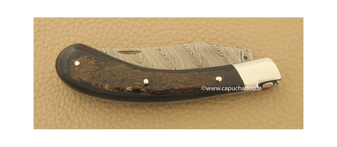 "Le Capuchadou" 12 cm hand made knife, buffalo bark & Damascus