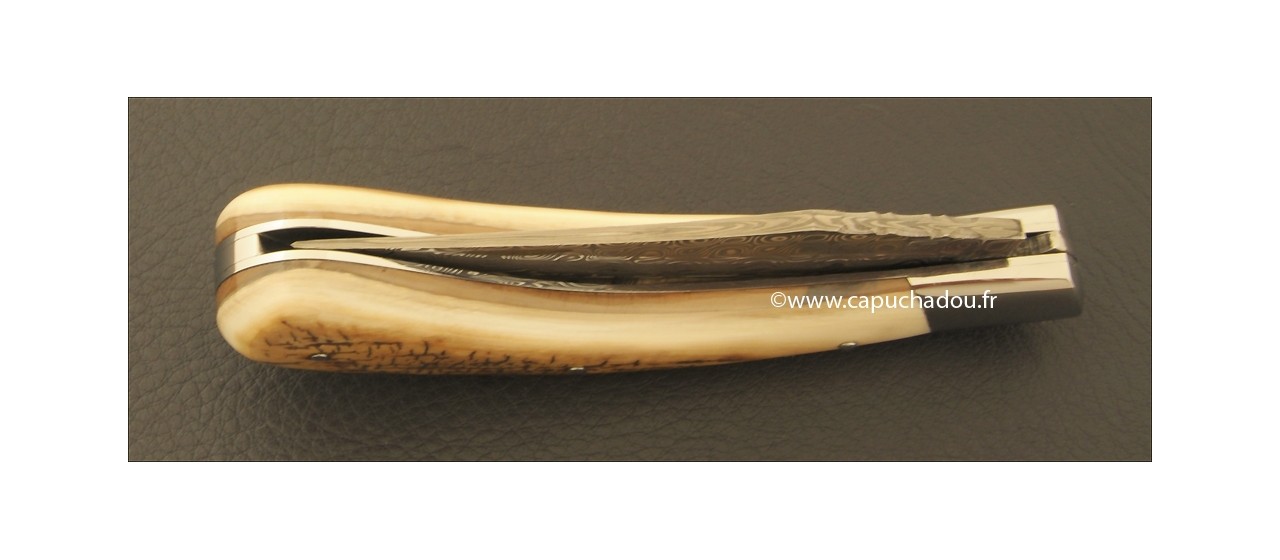 Le Capuchadou 12 cm, ivoire de Mammouth fossile, Damas "Rose"
