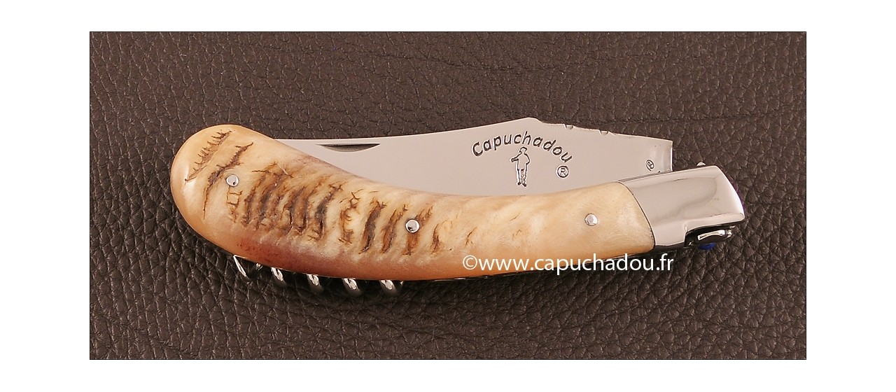 "Le Capuchadou Guilloché" 12 cm Corkscrew, Ram horn