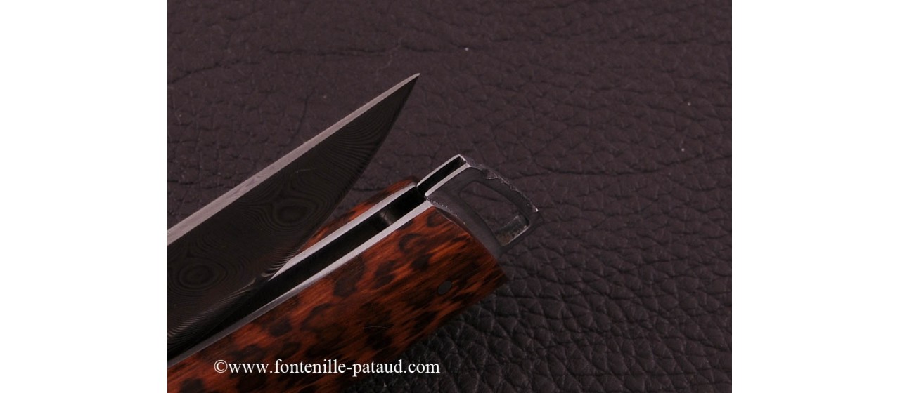 Le Thiers ® Gentleman knife Damascus Amourette