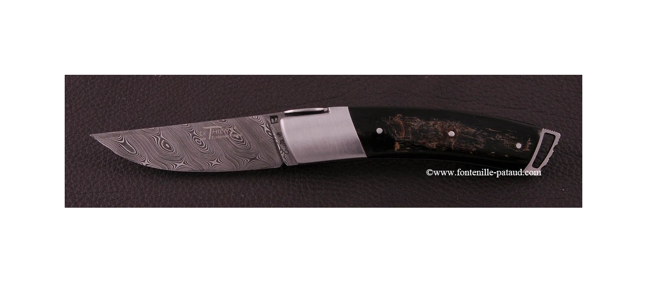 Le Thiers ® Gentleman knife Damascus Buffalo bark