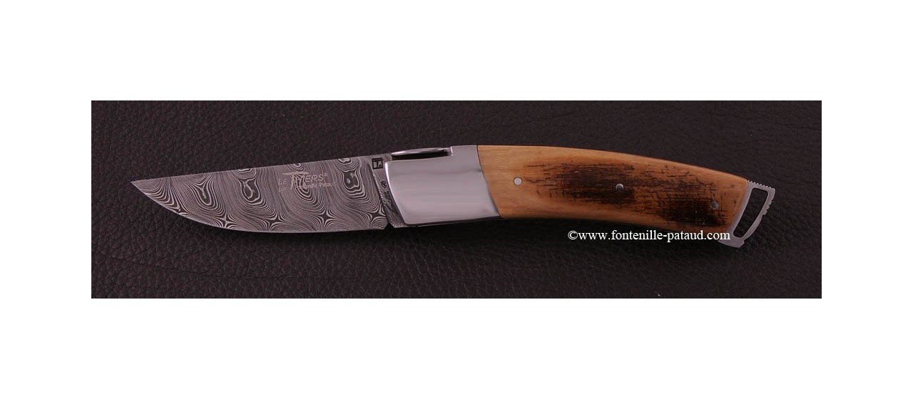 Le Thiers ® Gentleman knife Damascus Fissilized mammoth ivory