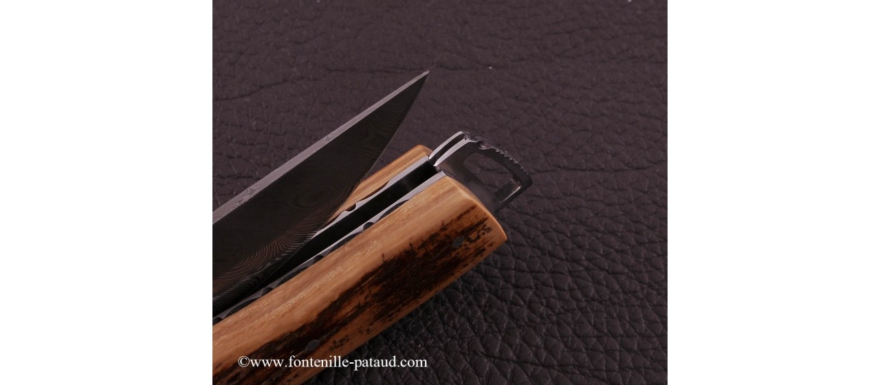 Le Thiers ® Gentleman knife Damascus Fissilized mammoth ivory