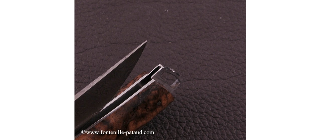 Le Thiers ® Gentleman knife Damascus Walnut