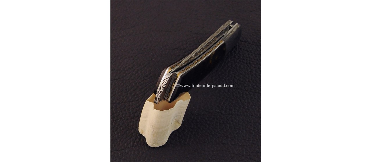 Le Thiers® Gentleman knife Damascus genuine tortoise, delicate filework
