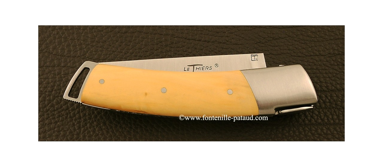 Le Thiers ® Gentleman knife Boxwood