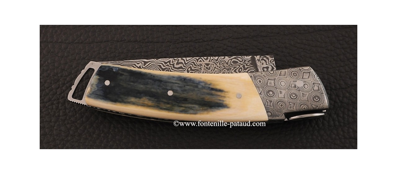 Le Thiers ® Gentleman knife Damascus Blue mammoth ivory, delicate filework