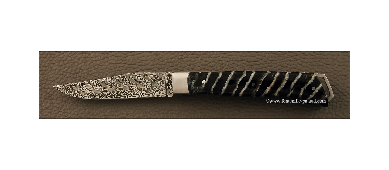 Couteau alpin molaire de mammouth