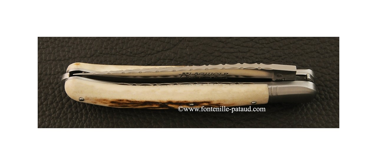 laguiole knife stag horn
