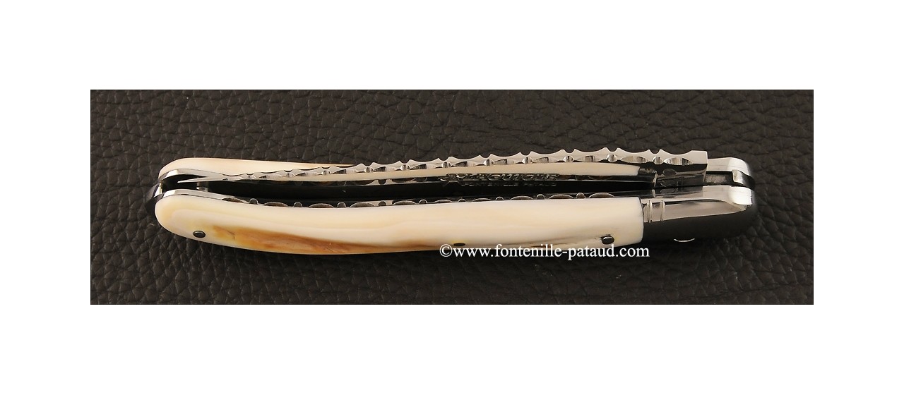 Real laguiole and warthog ivory