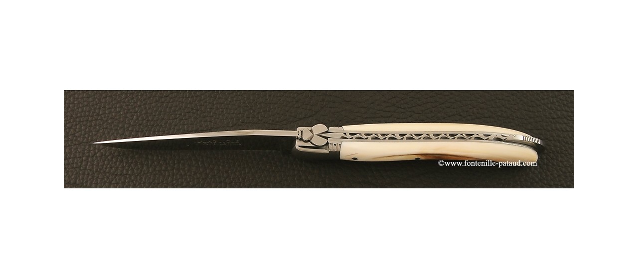 Laguiole Knife Nature Classic Range Real warthog ivory