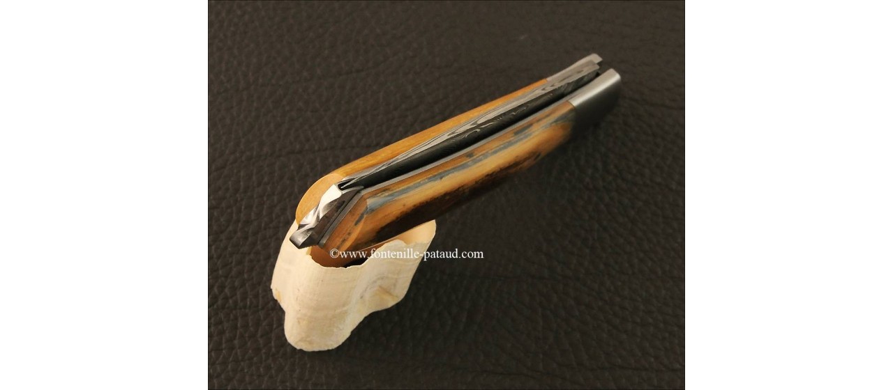 Le Thiers® Nature Damascus Fossilized Mammoth Ivory