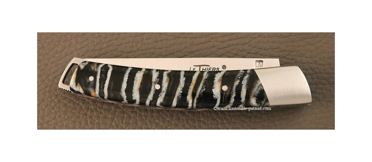 Le Thiers® Nature Molar tooth of mammoth knife