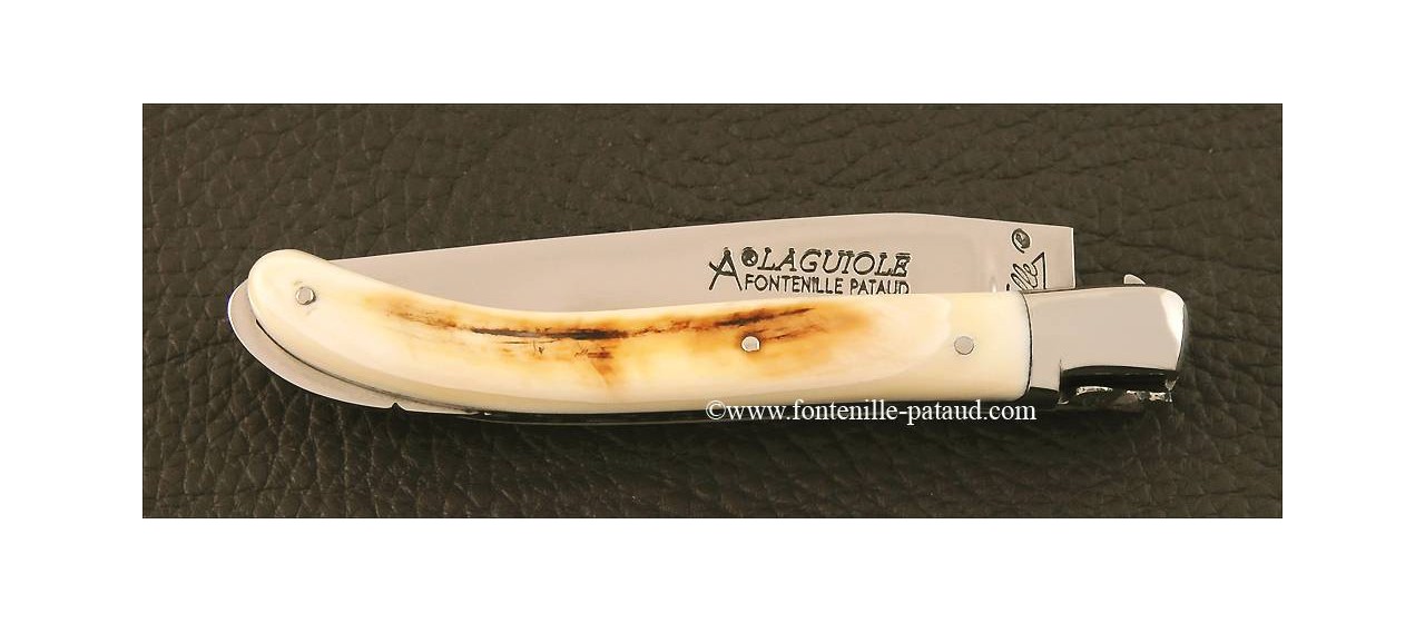 Laguiole XS knife warthg ivory