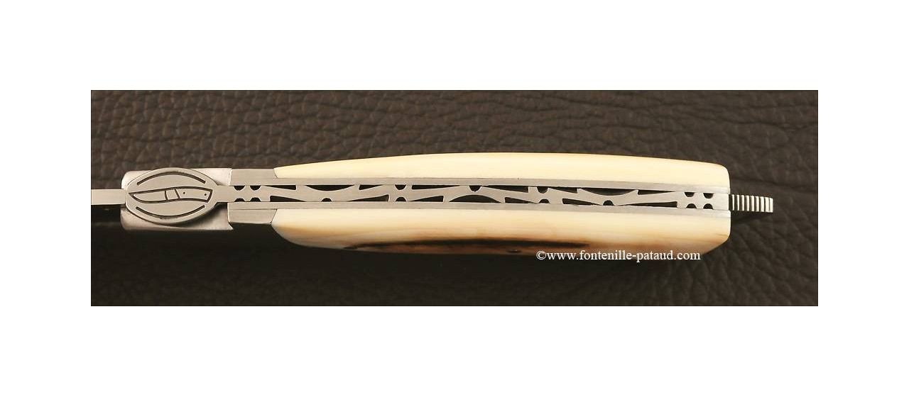 Le Thiers ® Gentleman knife warthog ivory