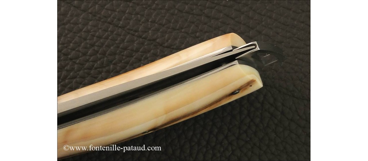 Le Thiers ® Gentleman knife warthog ivory