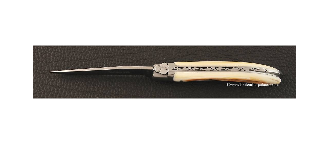 French laguiole knife Le Pocket warthog ivory