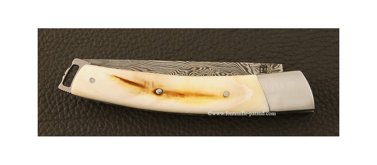 Le Thiers® Nature Damascus Warthog Ivory