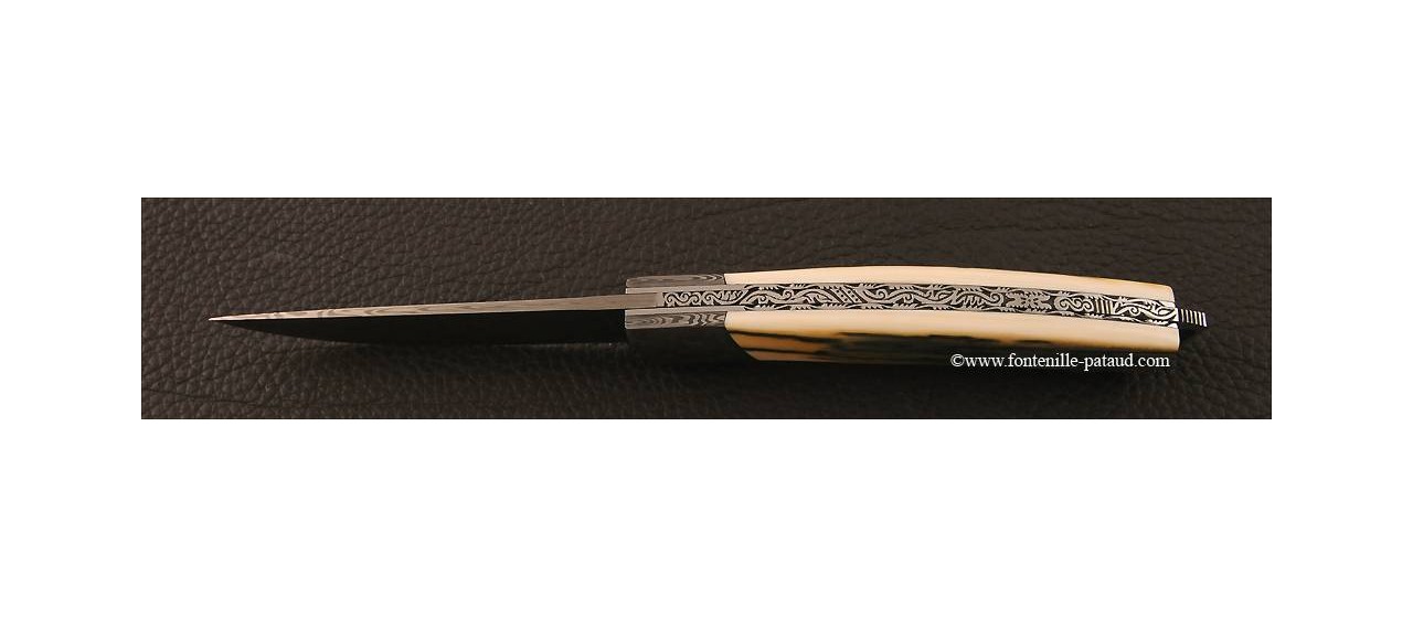 Le Thiers® Nature Damascus Blue Mammoth Ivory