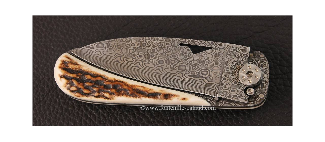 Corsican knife U Cumpa damascus & stag