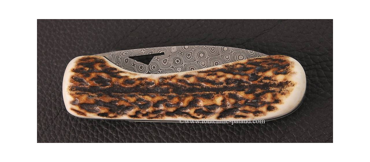 Corsican knife U Cumpa damascus & stag