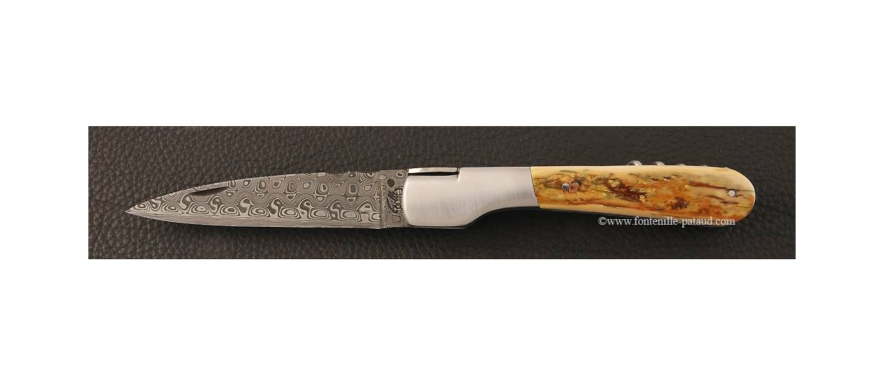 Corsican Vendetta knife Damascus Range with corkscrew Mammoth ivory