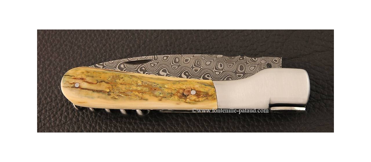 Corsican Vendetta knife Damascus Range with corkscrew Mammoth ivory