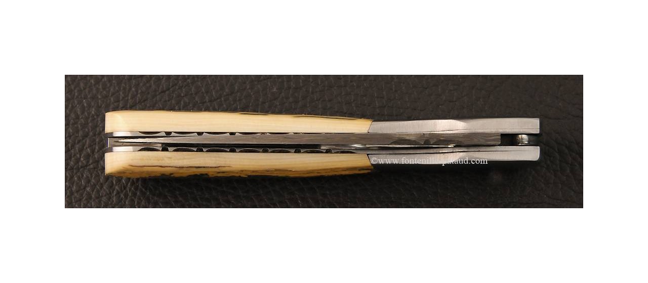 Corsican Vendetta knife Damascus Range with corkscrew Mammoth ivory