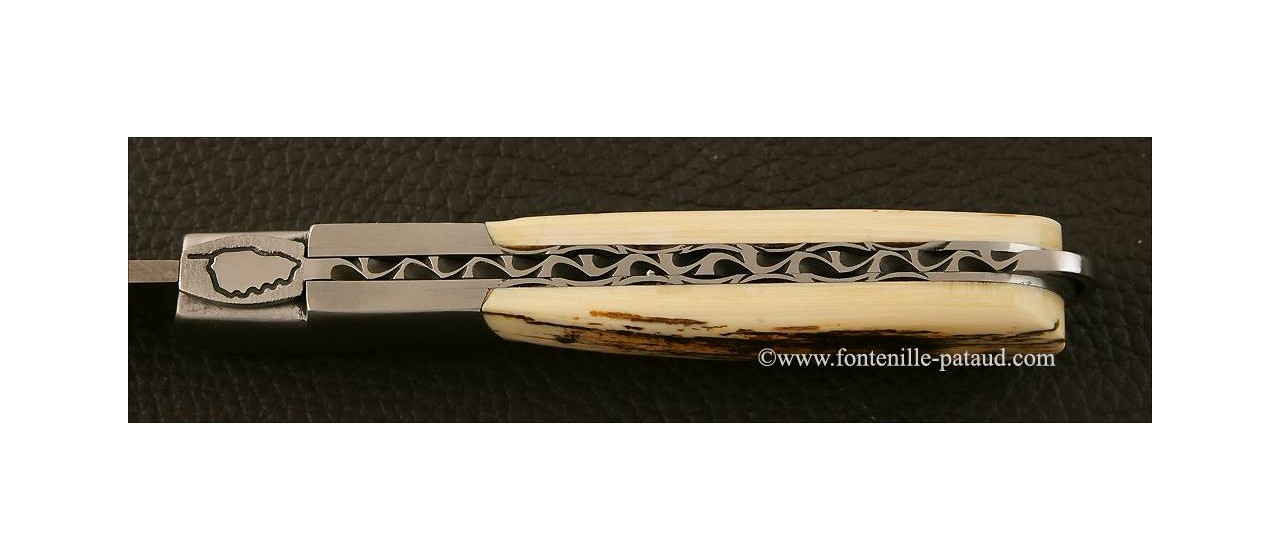 Corsican vendetta knife with lock-back system mammoth ivory