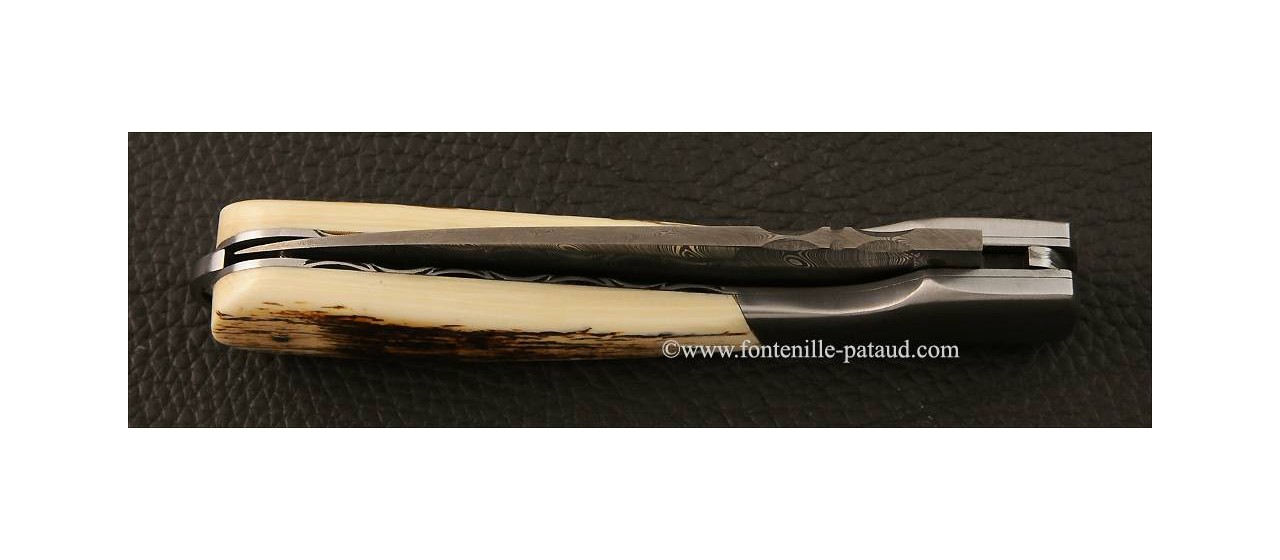 Corsican vendetta knife with lock-back system mammoth ivory
