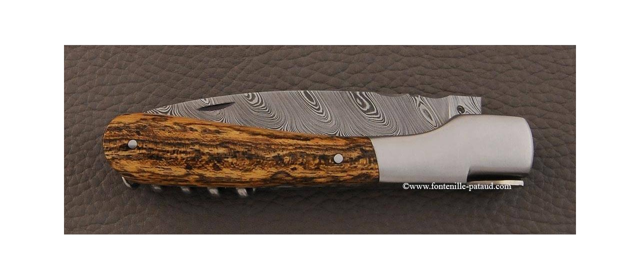 Corsican Vendetta knife Damascus Range with corkscrew Bocote