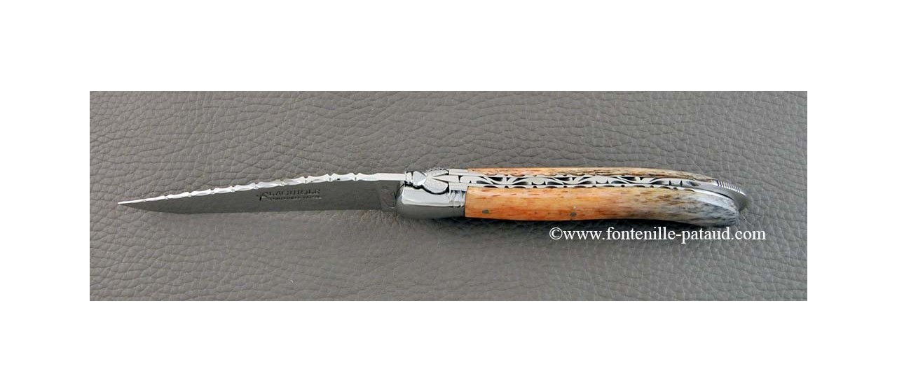 High quality laguiole knife with stabilized giraffe bone handle