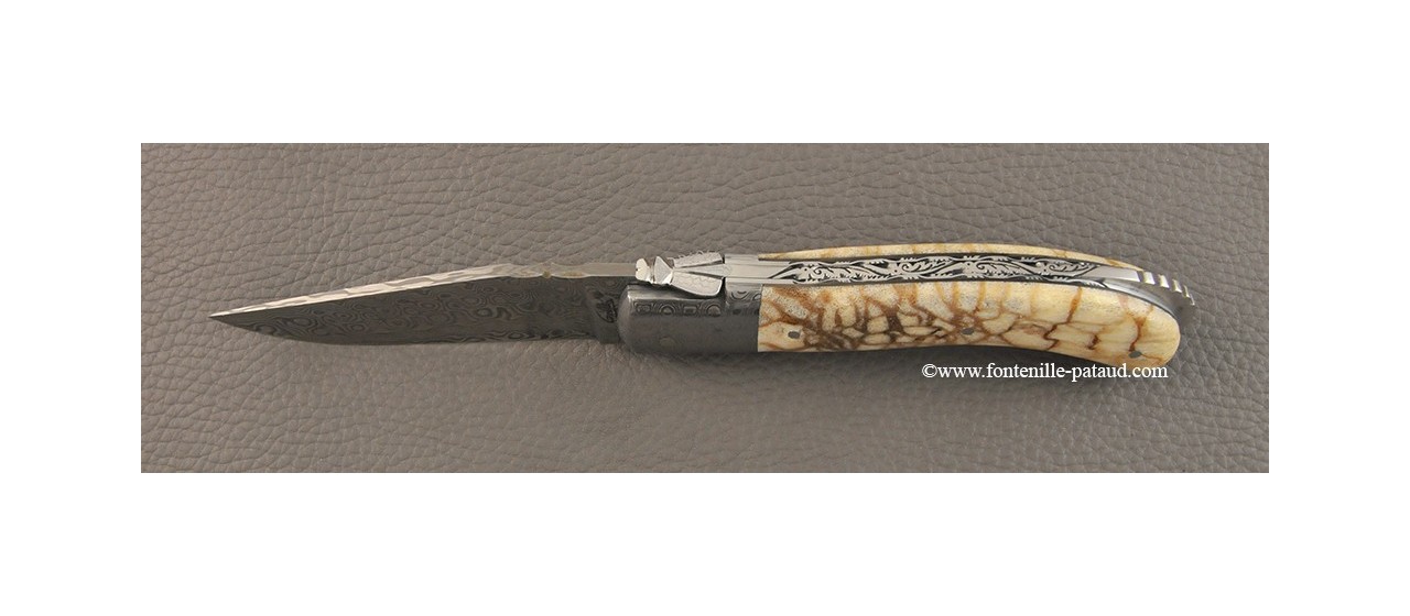 Laguiole Knife Sport Damascus Range Tiger coral Delicate file work