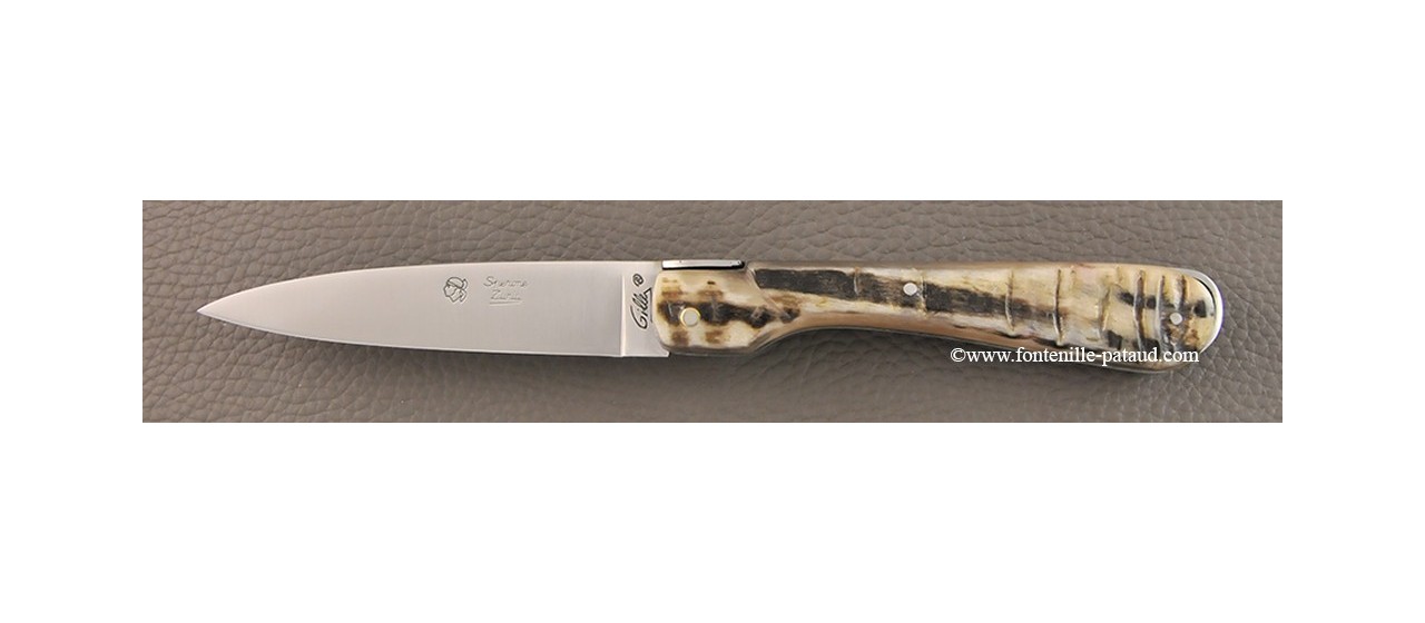 Corsican knife Classic Range Full handle Dark ram horn