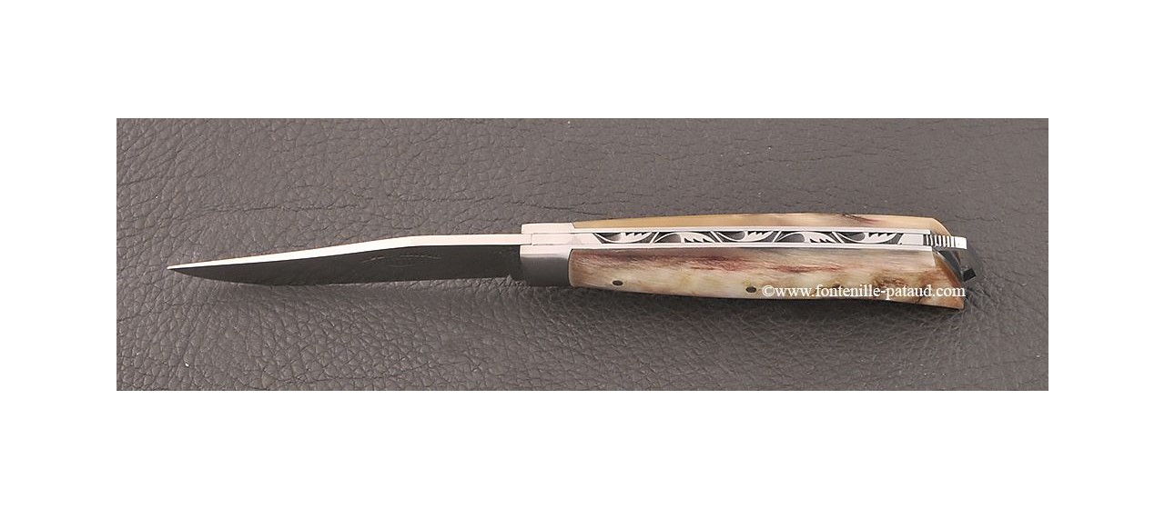 Alpin knife Le Saint Barnard, ram horn handle