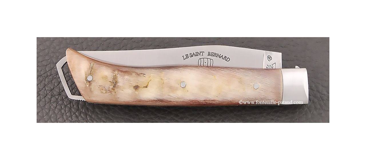 Alpin knife Le Saint Barnard, ram horn handle