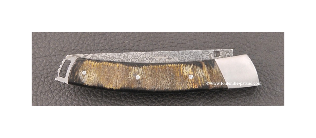 Le Thiers® Nature Damascus Buffalo bark knife