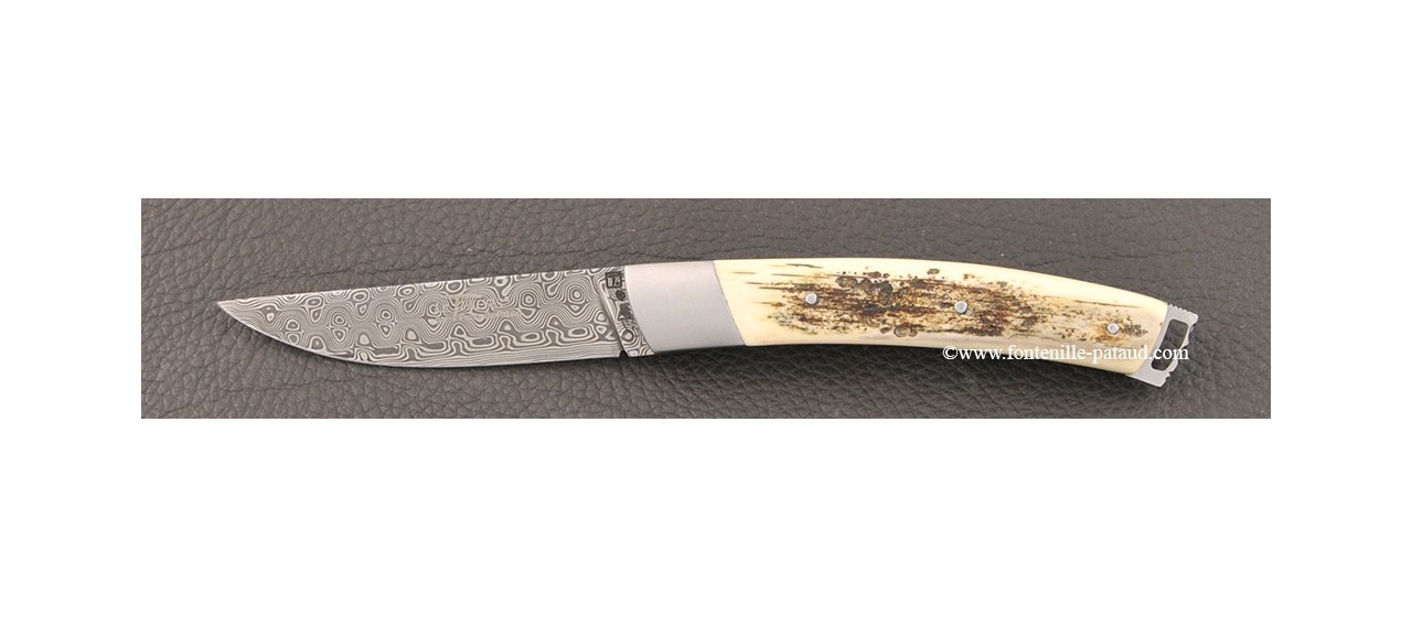 Le Thiers® Nature Damascus mammoth ivory knife