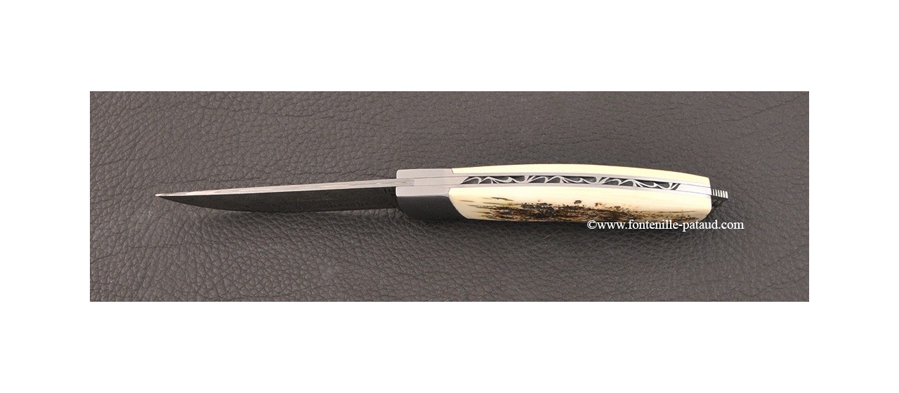 Le Thiers® Nature Damascus mammoth ivory knife