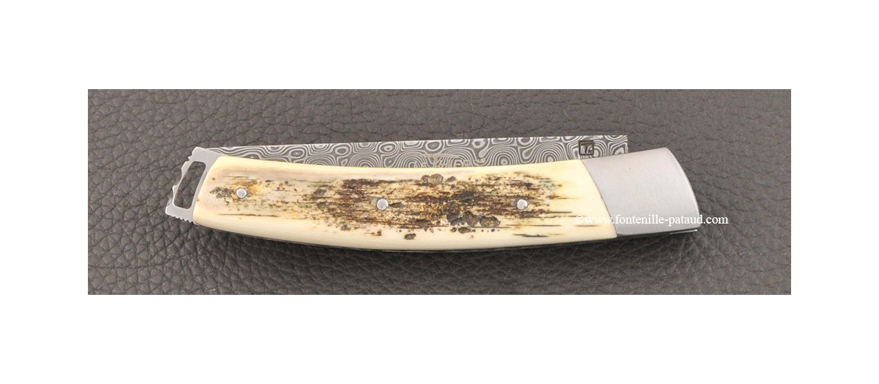 Le Thiers® Nature Damascus mammoth ivory knife