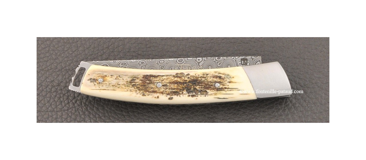 Le Thiers® Nature Damascus mammoth ivory knife